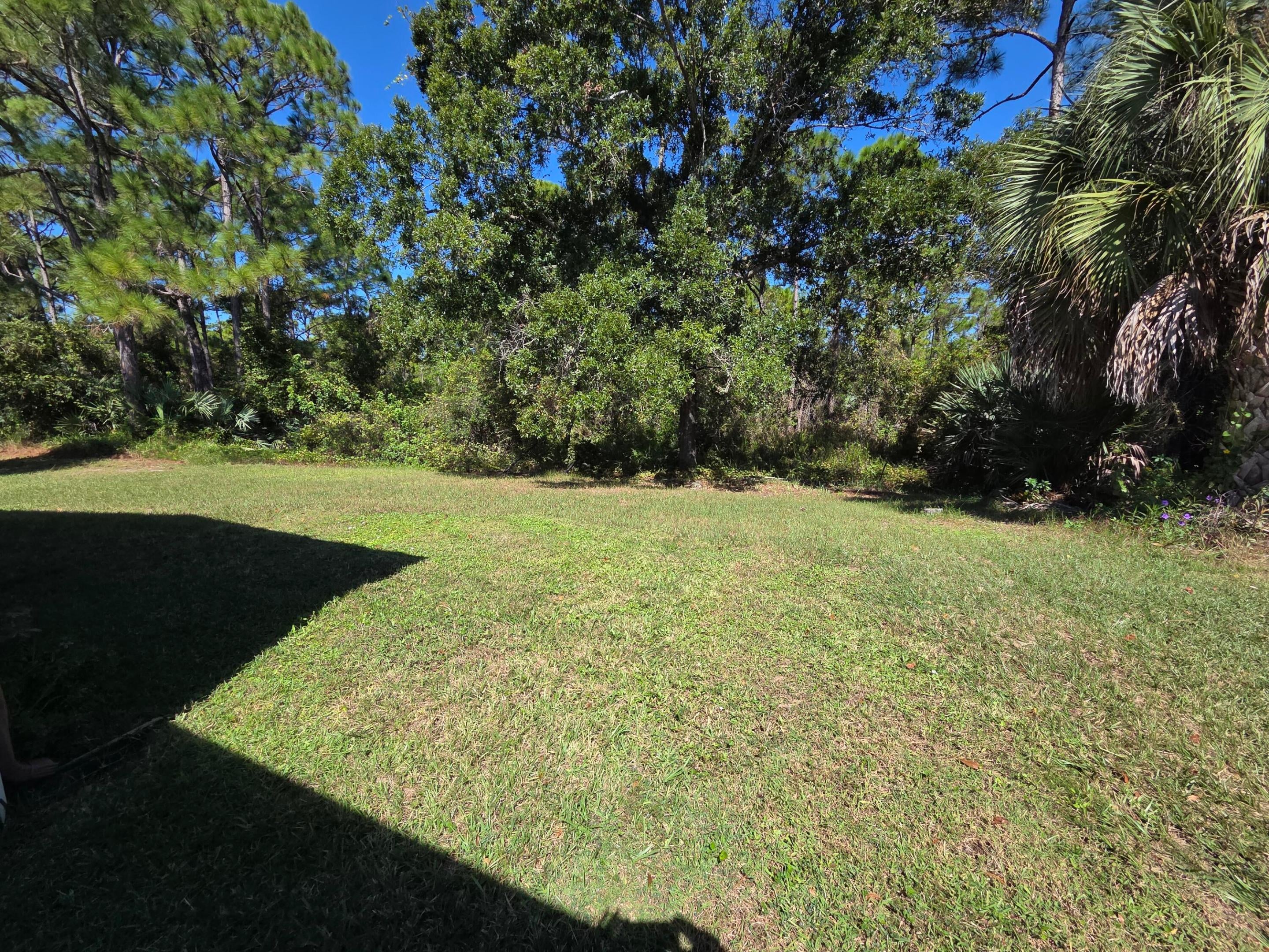 8187 Blackbead Court