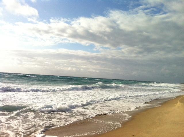 SUGAR SANDS CONDO 5 - Residential Lease