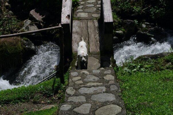 Q52M+28 Provincia de Coronado, Cartago Province, P - Land