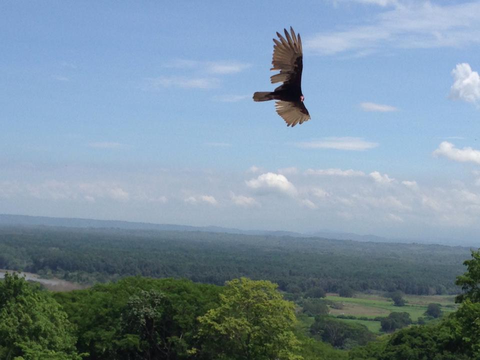 Q52M+28 Provincia de Coronado, Cartago Province, P - Land