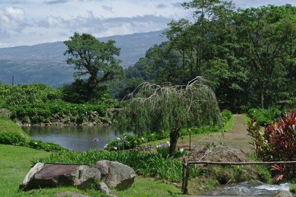 Q52M+28 Provincia de Coronado, Cartago Province, P - Land