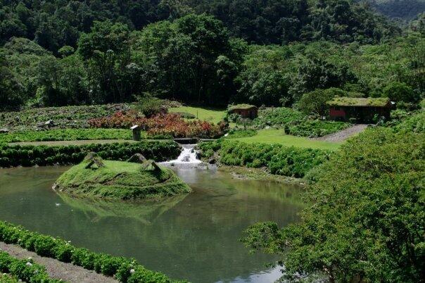 Q52M+28 Provincia de Coronado, Cartago Province, P - Land