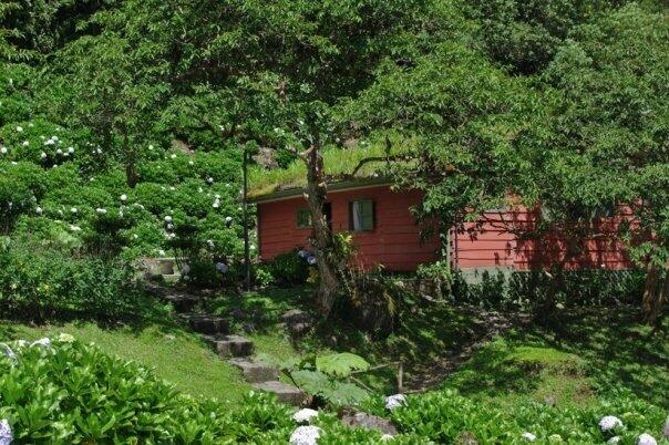 Q52M+28 Provincia de Coronado, Cartago Province, P - Land