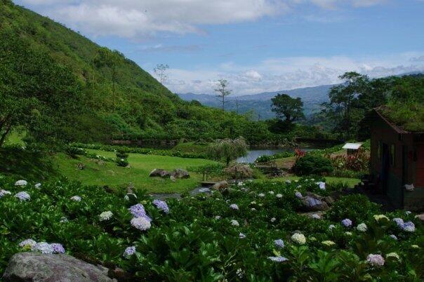 Q52M+28 Provincia de Coronado, Cartago Province, P - Land