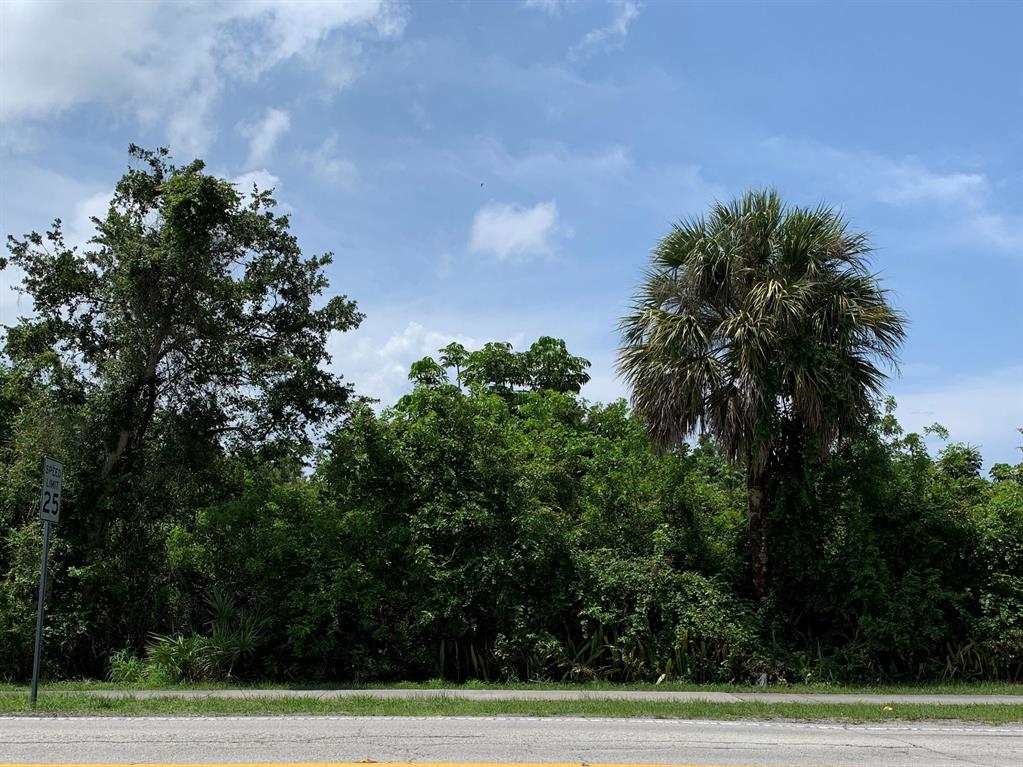 COME BUILD YOUR DREAM HOME WITH OVER A 1/2 ACRE(.638) PRIVATE LOT. IF YOU WANT PRIVACY AND ROOM TO ROAM THIS IS A PERFECT LOCATION. THIS LAND HAS SO MANY OPTIONS BRING YOUR OWN BUILDER. LOCATED IN SOUTH STUART CLOSE TO RESTAURANTS, PUBLIC BOAT RAMP, BEACHES, SHOPPING AND PARKS. PUBLIC GOLF COURSE IS 5 MINUTES AWAY AND DOWNTOWN STUART IS A SHORT DRIVE. MULTI MILLION DOLLAR HOMES ACROSS THE STREET. CITY WATER AND SEWER AVAILABLE FOR BUYER TO HOOK UP.