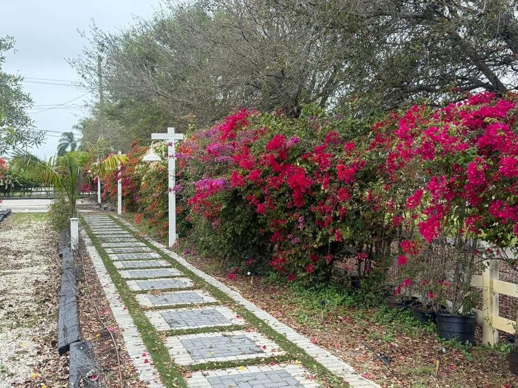 Photo of 4680 SW 148th Avenue, Southwest Ranches, FL 33331 (MLS # B26005822)