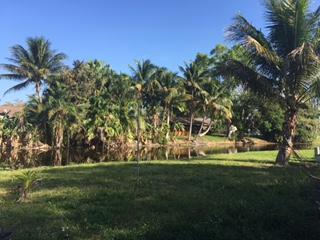 SPANISH ISLES - Residential