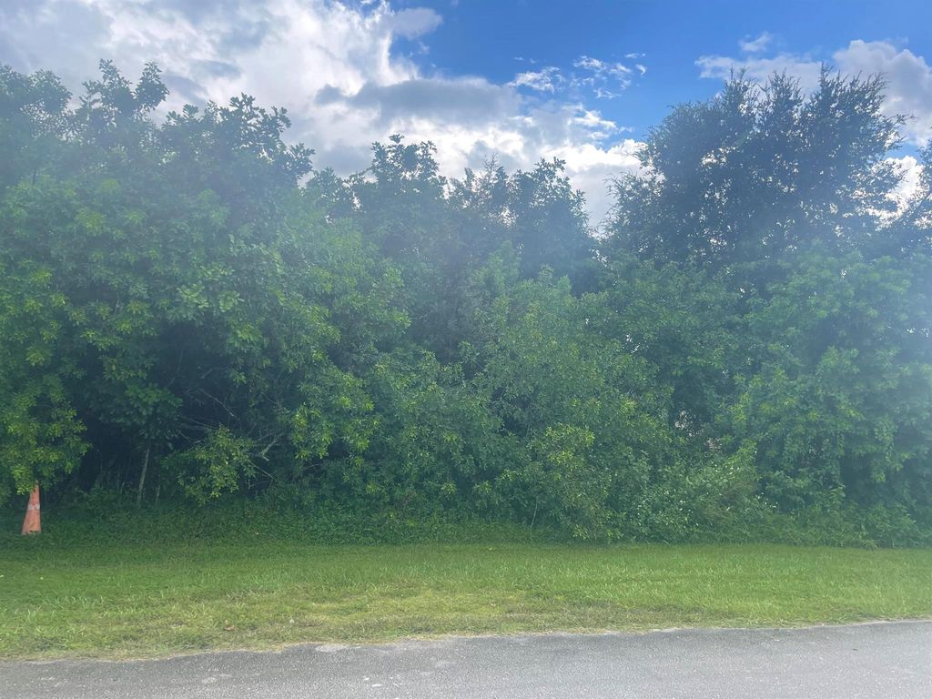 Photo of 560 SW Lawler Avenue, Port St Lucie, FL 34953 (MLS # R10920597)