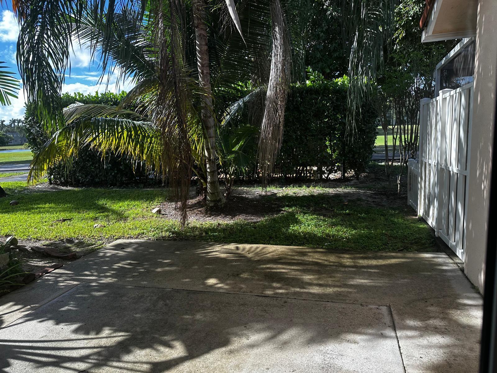spring tree - Residential Lease