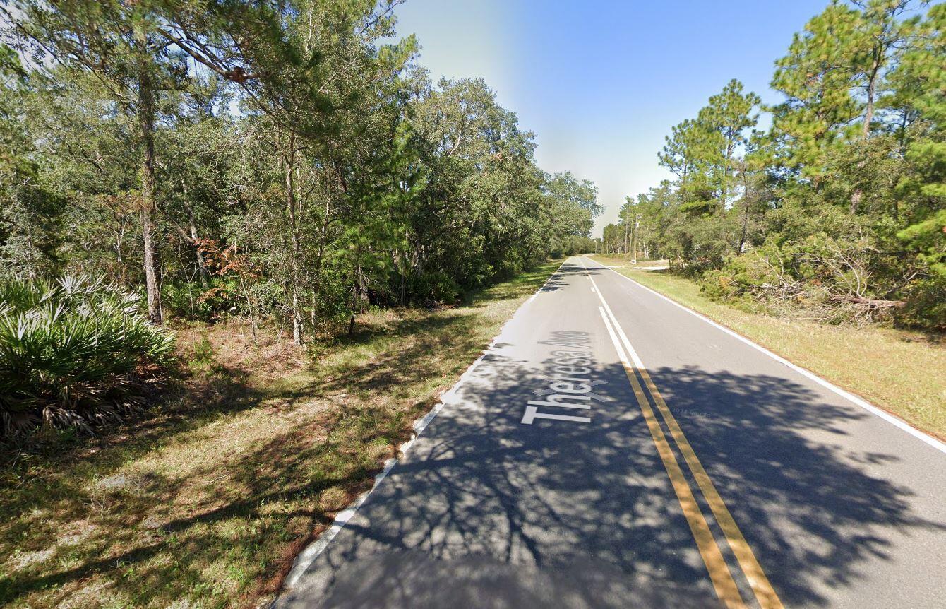 Tbd Theresa Avenue