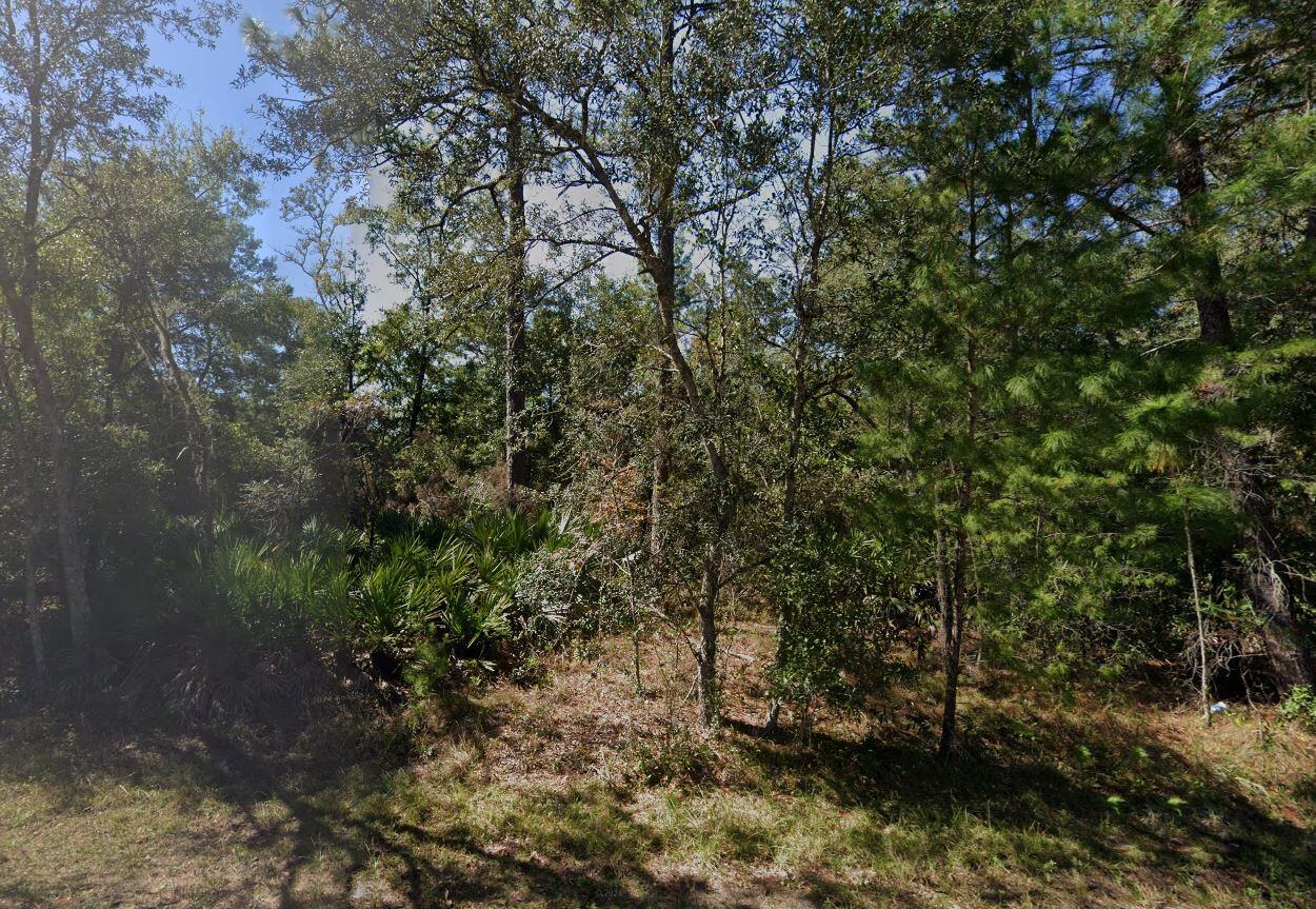 INTERLACHEN LAKES ESTATES - Land