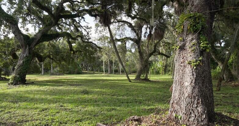 ORCHID ISLE ESTATES SUBDIVISION - Land