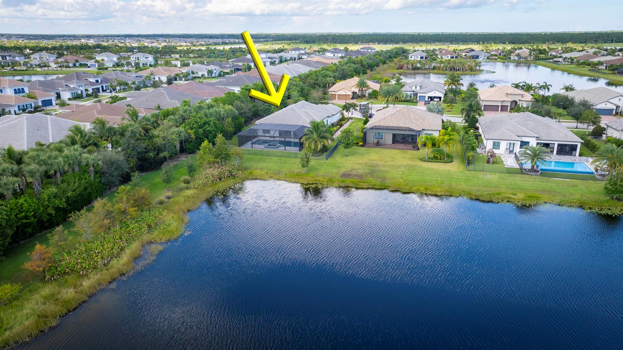 ANCIENT TREE - Residential Lease