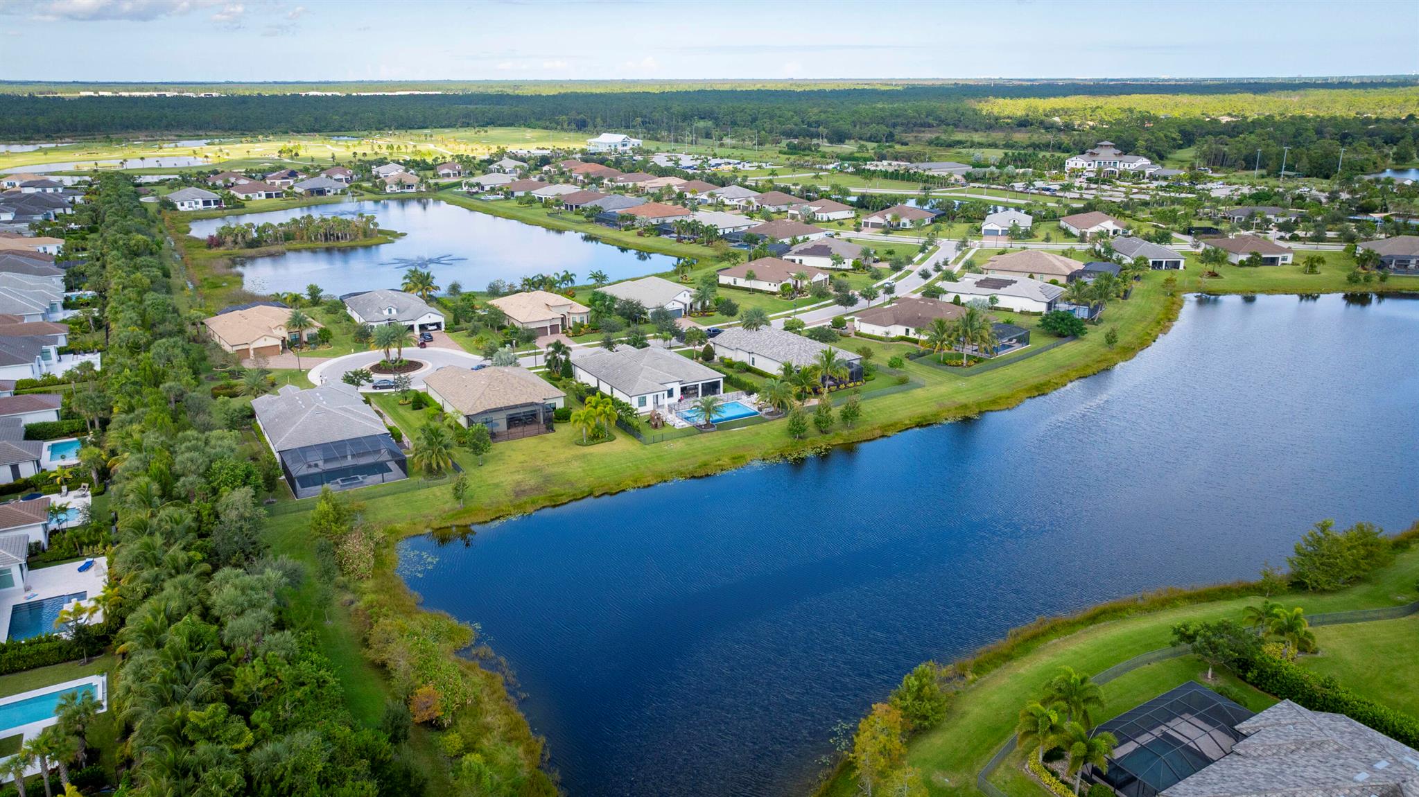 ANCIENT TREE - Residential Lease