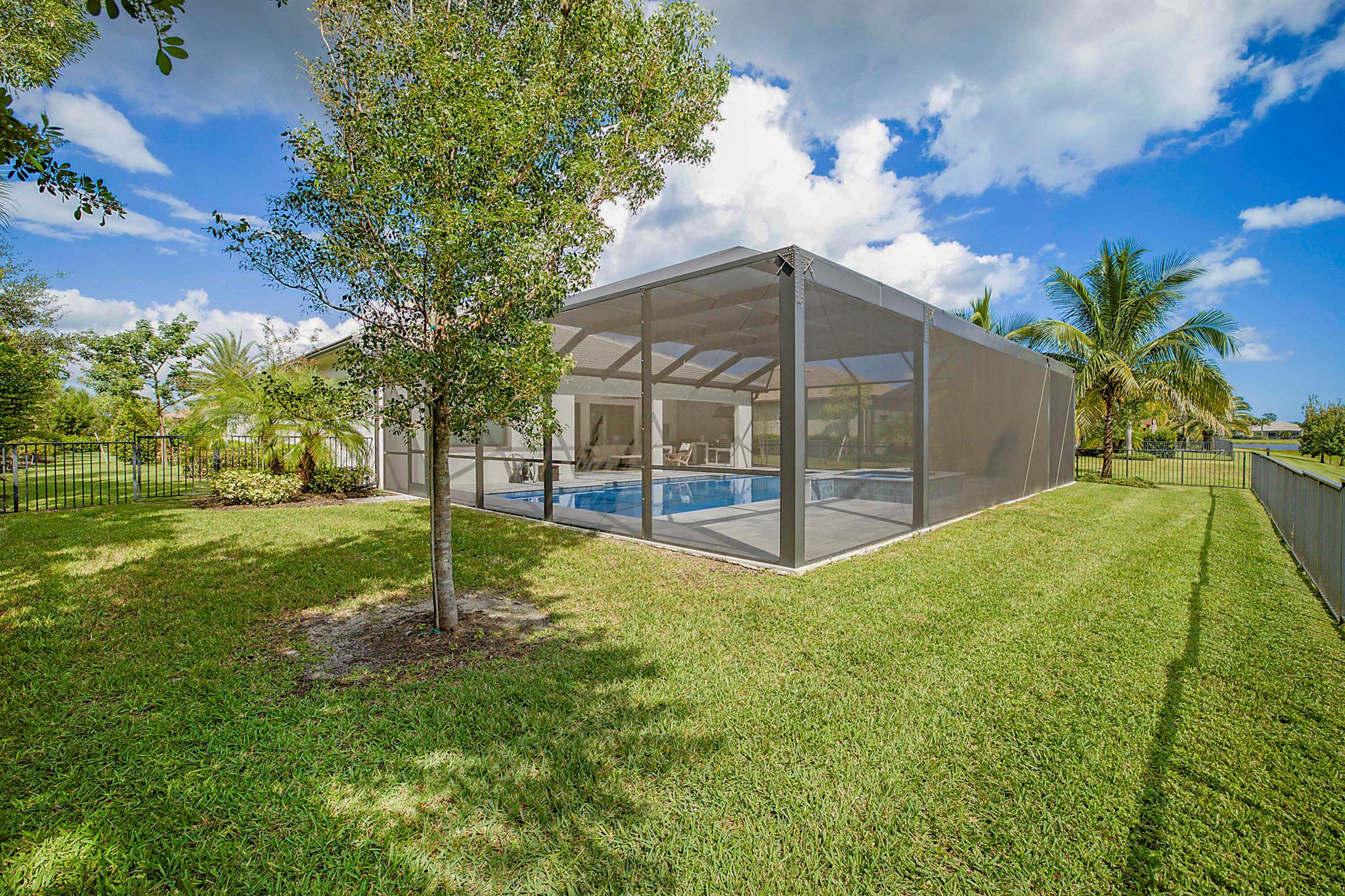 ANCIENT TREE - Residential Lease