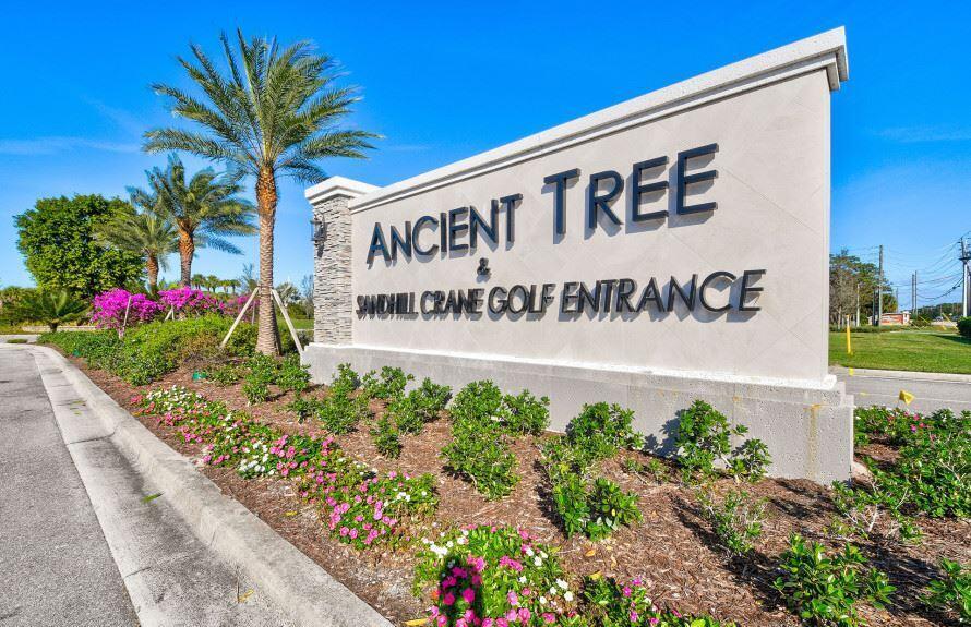 ANCIENT TREE - Residential Lease