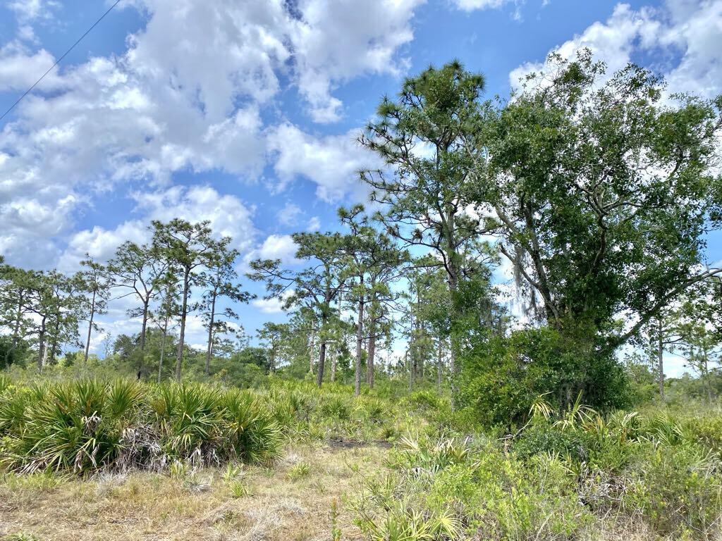 This gorgeous, wooded lot is conveniently rested along highway 441, and offers stunning views of a beautiful 1000+ acre farm across the street, and vacant wooded lots as your neighbors.