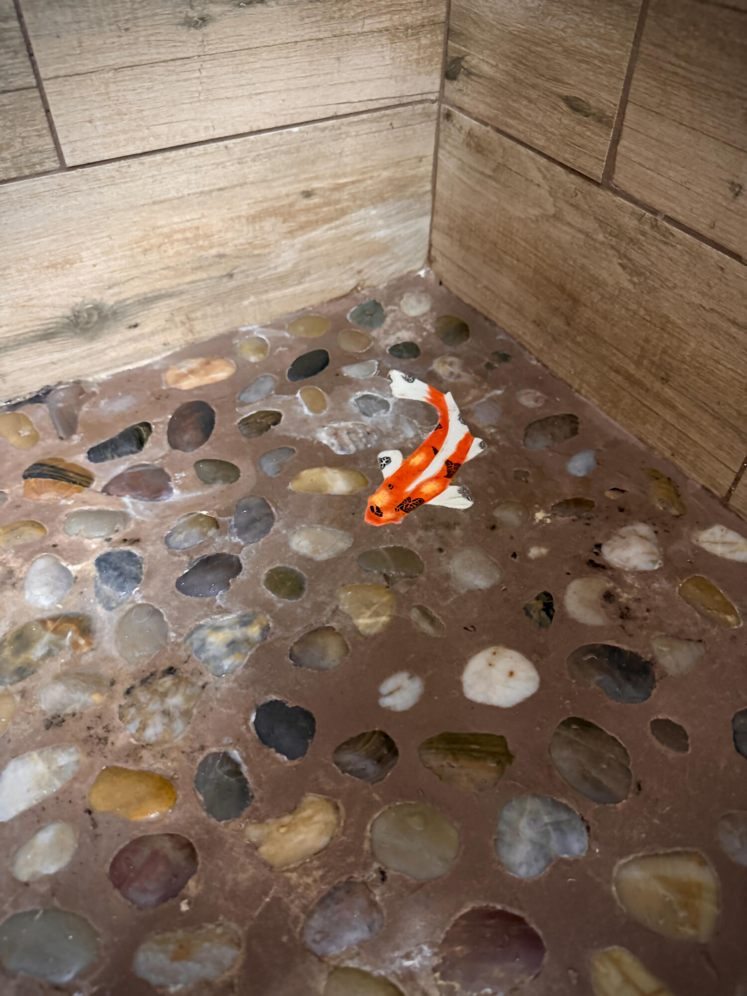 Cypress Point - Residential