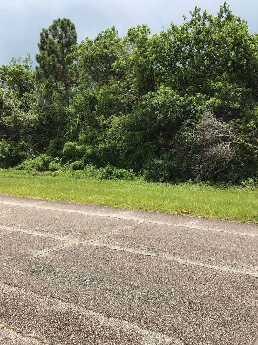 Beautiful oversized lot in the desirable area of Southbend. Eagle is one of the nicest streets in area. Lot at 2902 SE Pier St 16,988SF butts against this lot, also listed.
Southbend is close to Tpk, shopping, restaurants and Becker Rd (Tesoro area)