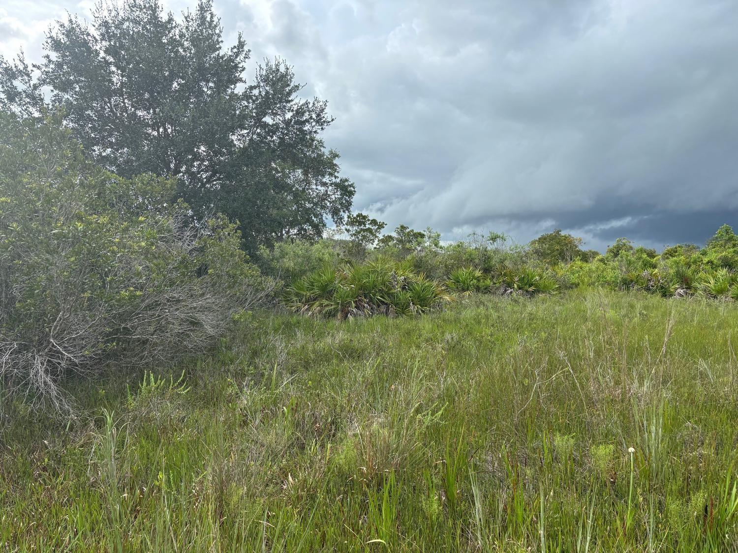 Double lot. Start your farm, camp, or both!
Owner financing available