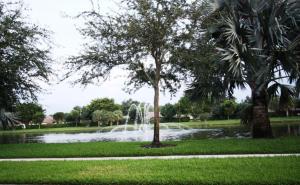 Boca Azul Ph 4 And 5 - Residential Lease