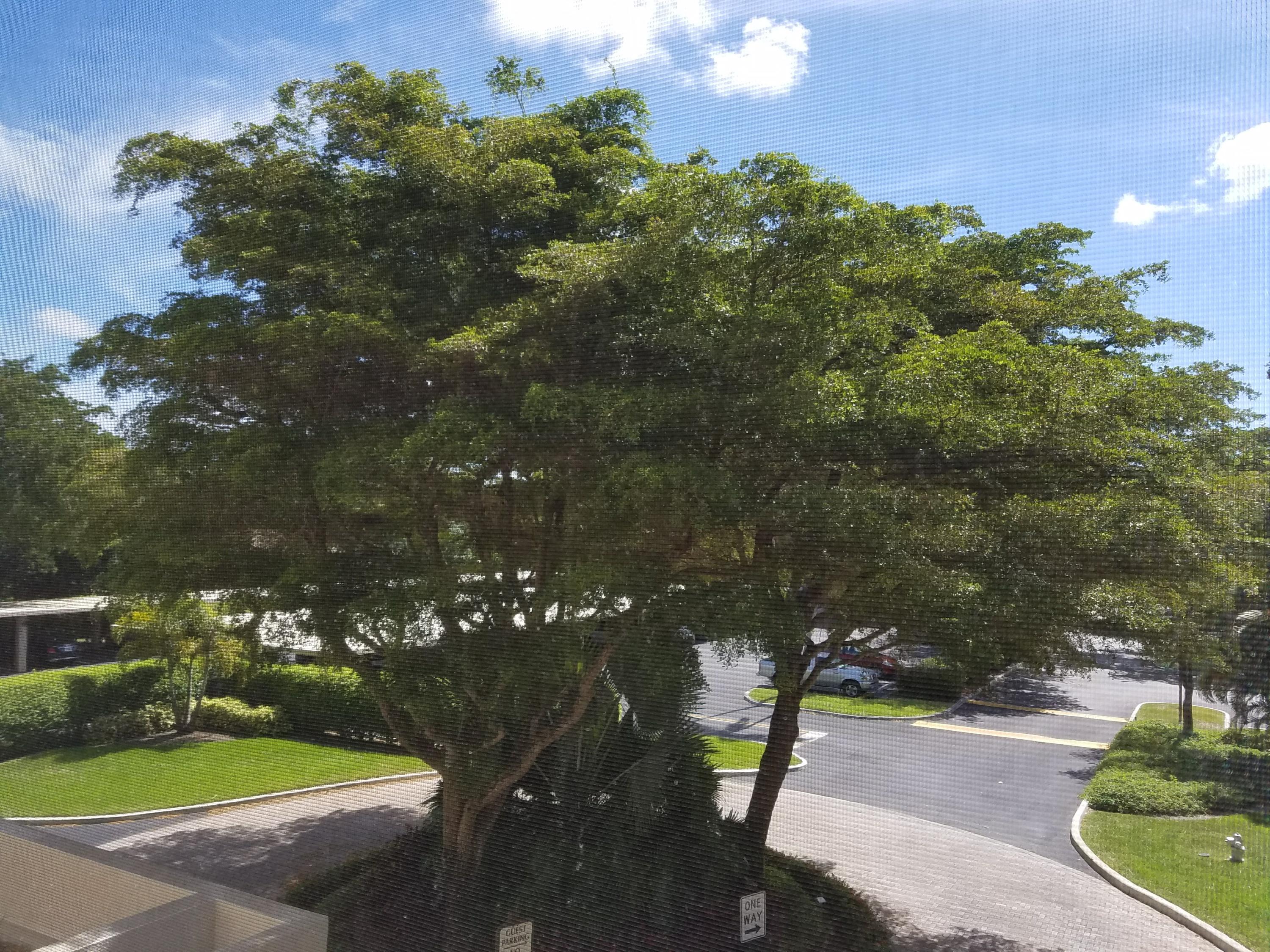 LAUREL OAKS - Residential