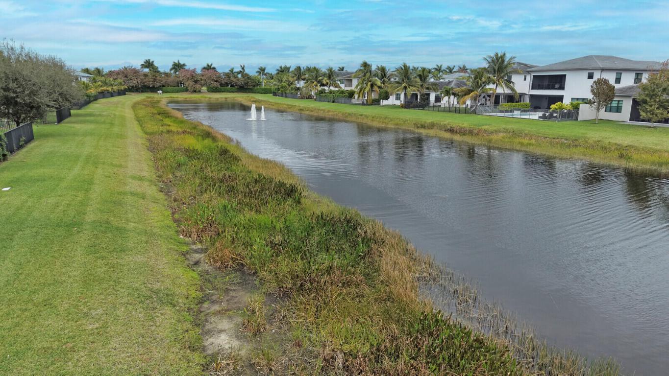 17318 Pagoda Palms Drive