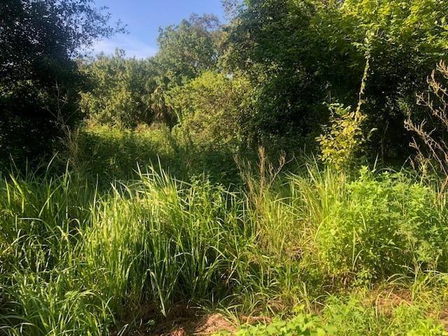Buy this residential property in El Mira Soul community in Okeechobee with only $1,500 down. Adjacent lots also available for sale.
Owner Financing Available.
