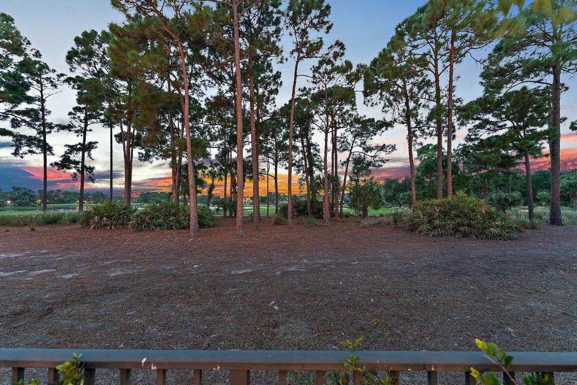 OLD PALM - Residential