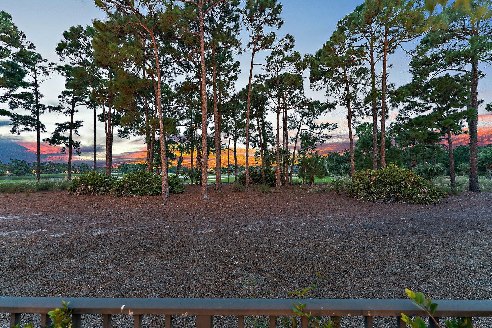 OLD PALM - Residential