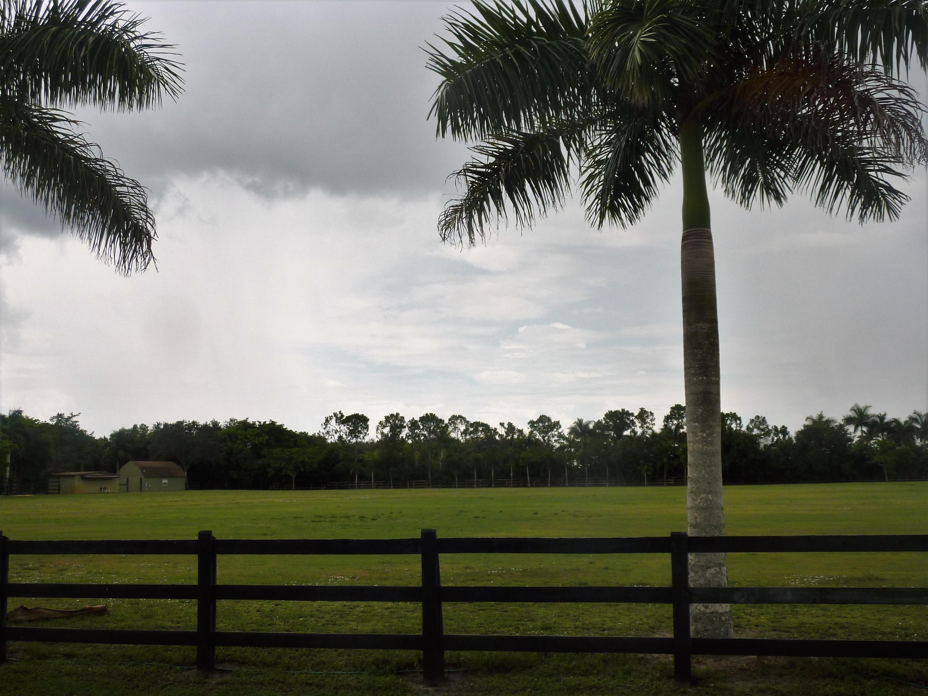 RUSTIC RANCHES - Land