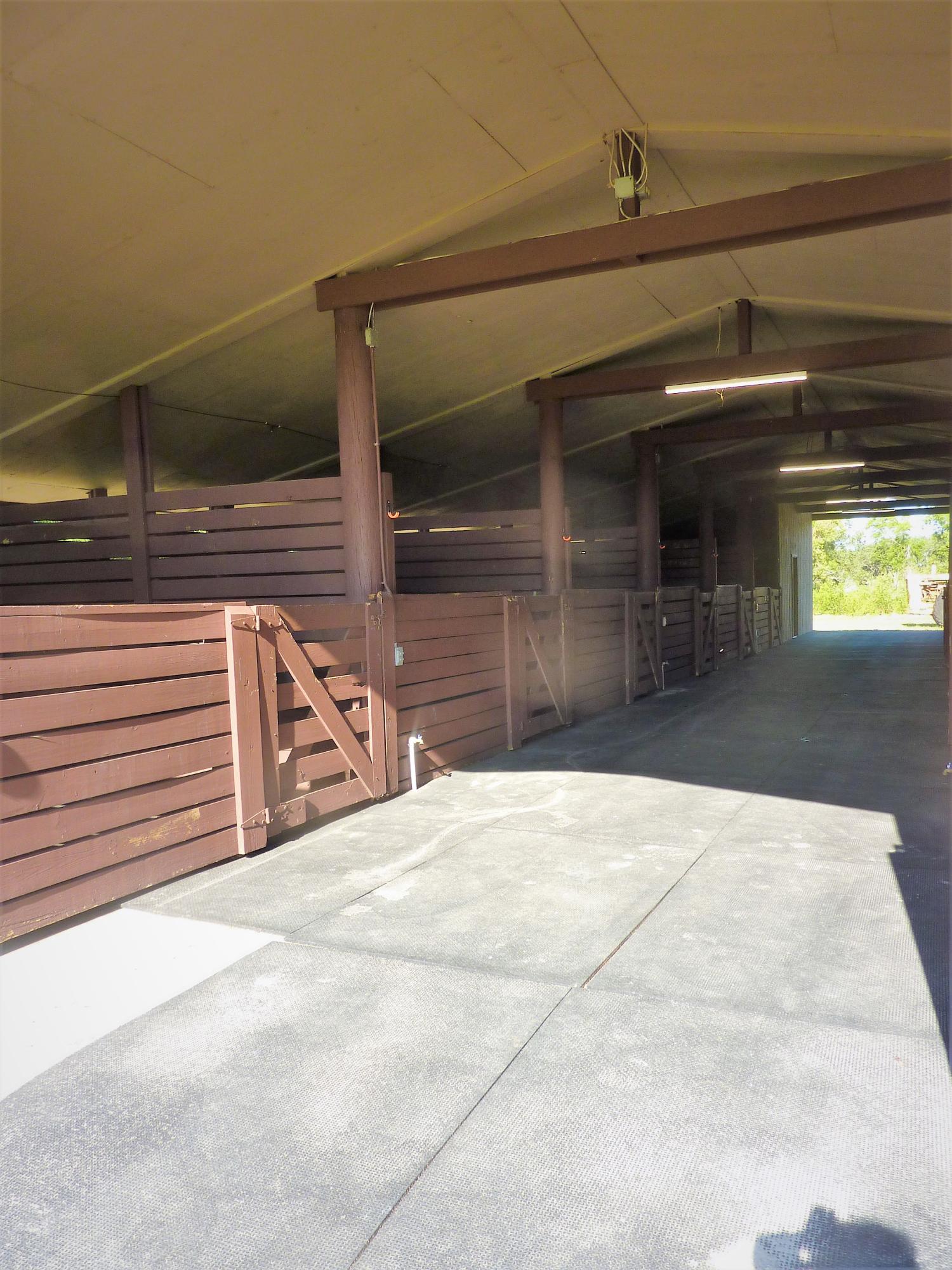 RUSTIC RANCHES - Land