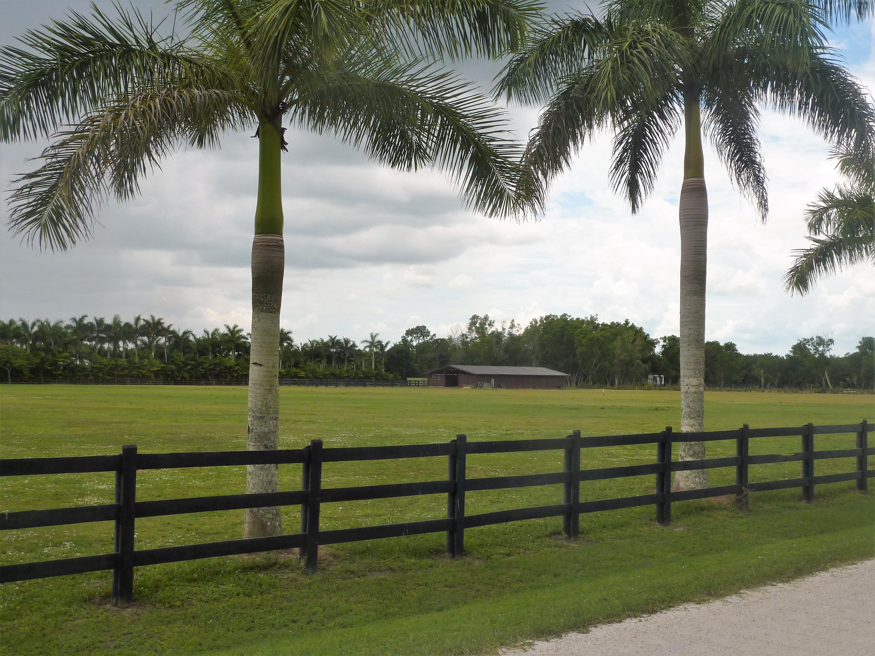 RUSTIC RANCHES - Land