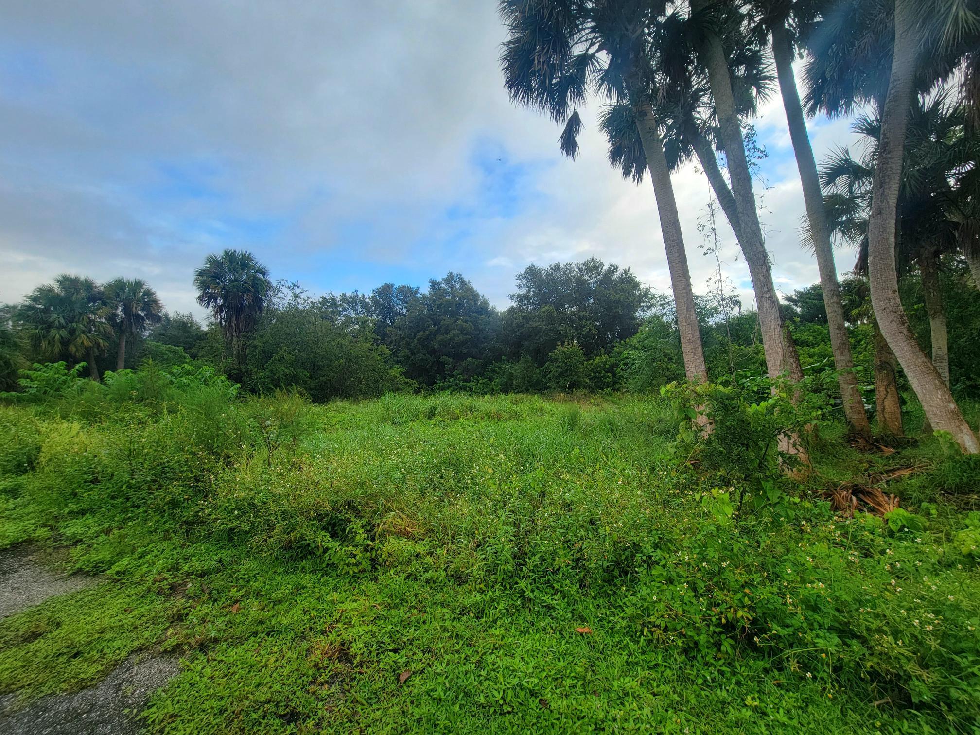 Looking for a great place to build a home this 0.44 acre lot it ideal for you. No homeowners association.