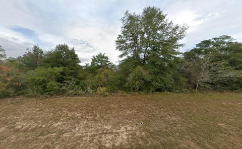 Tbd Elkcam Boulevard Chipley FL 32428