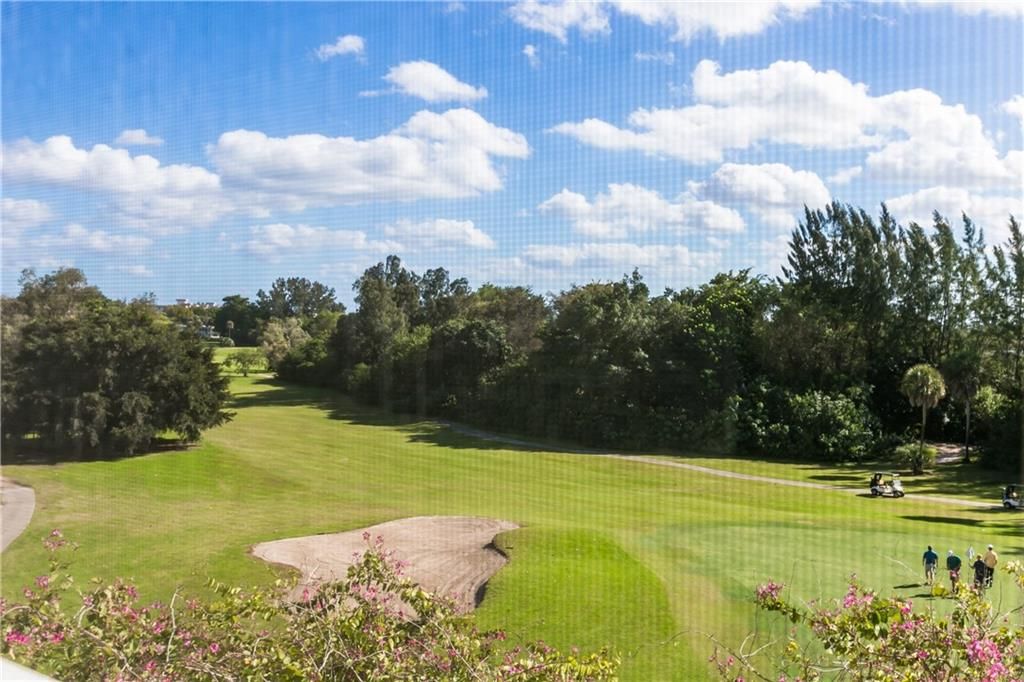 Photo of 3150 N Palm Aire Dr #501, Pompano Beach, FL 33069 (MLS # F10315136)