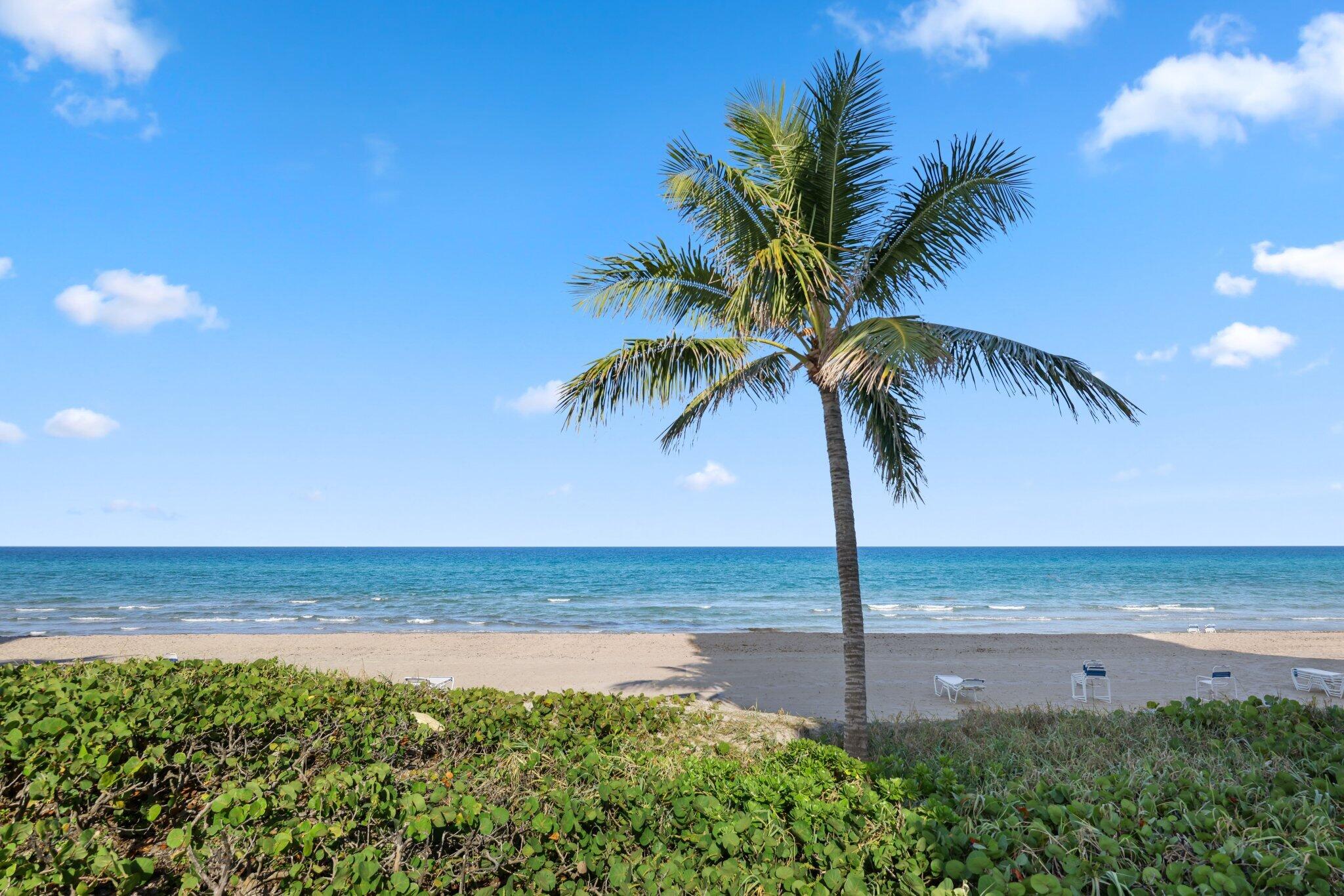 AMBASSADORS V NORTH CONDO - Residential