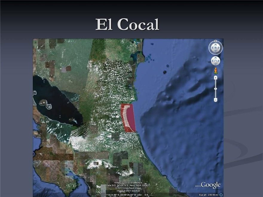 El COCAL•             78,793 Acres (319,000,000 square meters) (32,000 Hectares) of virgin land which is :           Six time larger than Bermuda          Four times bigger than San Marino          Same size Isle of Malta, or Saint Kitts and Nevis, or Seychelles or Maldives.•             60 kilometers (33 miles) of Beaches on the Atlantic/Caribbean Coast of Nicaragua, border lining Costa Rica.•             7 major pristine rivers •             Best Eco System and Bio-Diversity in the World•             The famous San Juan River which connects the Nicaragua Lake (The only fresh water lake with sharks in the world) ends at El Cocal where it meets the Atlantic/Caribbean Ocean•             Next to Greytown, old British Empire settlement and made famous by Almirant Nelson OPPORTUNITIES AT “EL COCAL” El Cocal offers the opportunity to develop the Eco tourism in an unspoiled rain forest, miles and miles of ocean beaches and a very active coconut plantation (Coconut production is aprox 220,000 coconuts per month). El Cocal’s land stretches for 33 miles along the Atlantic Coast. The southernmost tip of El Cocal borders where the Indian River meets the Ocean and then the Rivers flows parallel to el Cocal for 7 miles and then softly turns inland, where it becomes the largest part of EL COCAL. In the other side of the river bank, you will find the historic British town of Graytown that goes back in history to the British Almirant Nelson, before he was defeated by a Nicaraguan's lady with the same technique that he used to defeat Napoleon in the Trafalgar’s battle. This town recently built an airport of 1,200 meters long with a brand new building for an international point of entry. The same airport provides services for hydroplanes and boats of the area.