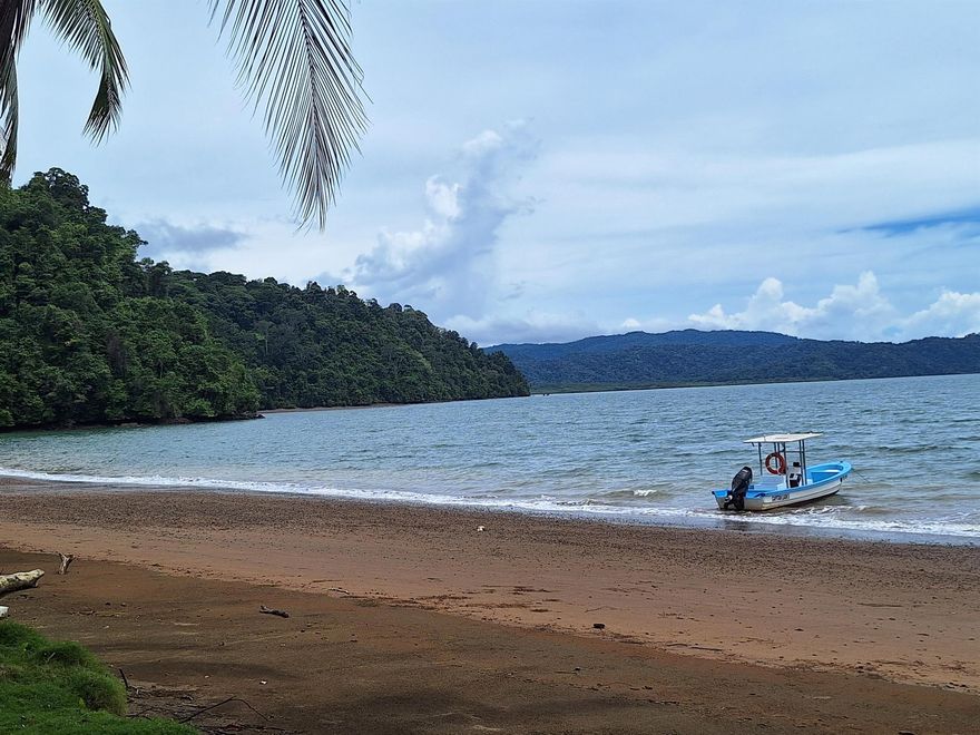 FOR THE RICH AND FAMOUS, OR INFAMOUS, A RARE OPPORTUNITY to purchase 139 acres located on the treasured Golfo Dulce, Costa Rica's eco sensitive whale & porpoise breeding & spawning grounds. The property has astounding Gulf views, sunsets & whale watching. One parcel is approachable by land, yacht, seaplane or helicopter; the other, only by yacht or seaplane. One is totally off the grid, the other has a guard house, fence, electricity & water. For those that want to disappear, or simply live hassle free & unwind, this is the perfect place. A yacht can be anchored in the deep water next to the shore. Golfito is close by, where a yacht can be docked, & an airport where charter planes or choppers can be arranged. Consult the listing agent for more details. See it & you won't want to leave.