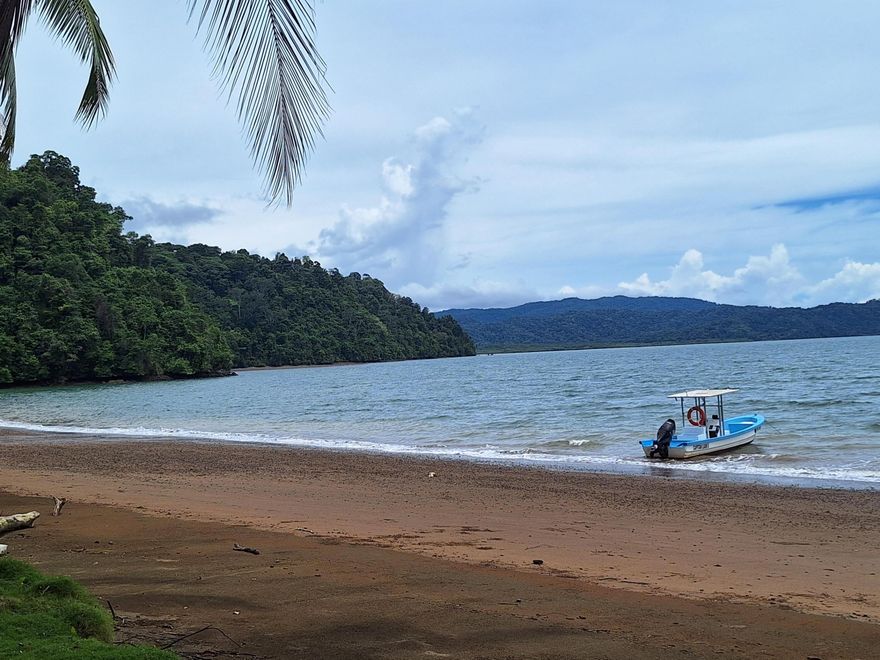 FOR THE RICH AND FAMOUS, OR INFAMOUS, A RARE OPPORTUNITY to purchase 139 acres located on the treasured Golfo Dulce, Costa Rica's eco sensitive whale & porpoise breeding & spawning grounds. The property has astounding Gulf views, sunsets & whale watching. One parcel is approachable by land, yacht, seaplane or helicopter; the other, only by yacht or seaplane. One is totally off the grid, the other has a guard house, fence, electricity & water. For those that want to disappear, or simply live hassle free & unwind, this is the perfect place. A yacht can be anchored in the deep water next to the shore. Golfito is close by, where a yacht can be docked, & an airport where charter planes or choppers can be arranged. Consult the listing agent for more details. See it & you won't want to leave.