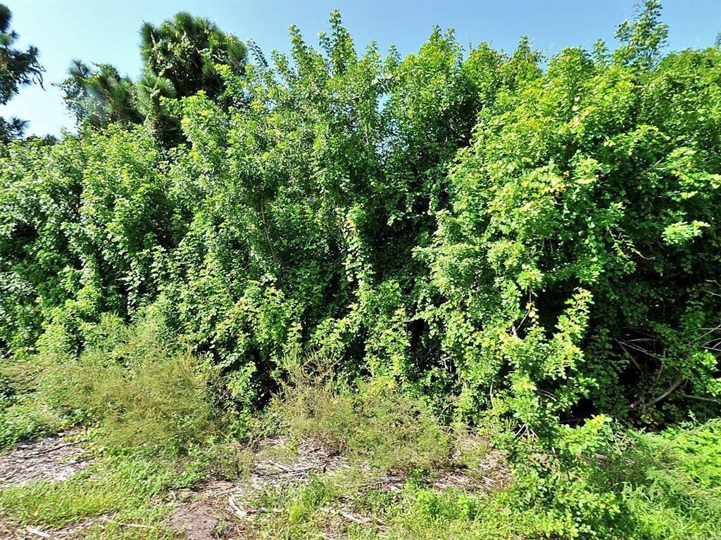 Photo of 2722 SW Tolley Court, Port Saint Lucie, FL 34953 (MLS # R10701983)