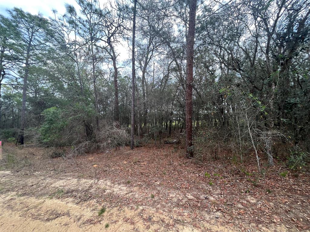 INVERNESS VILLAGE UNIT 3 - Land