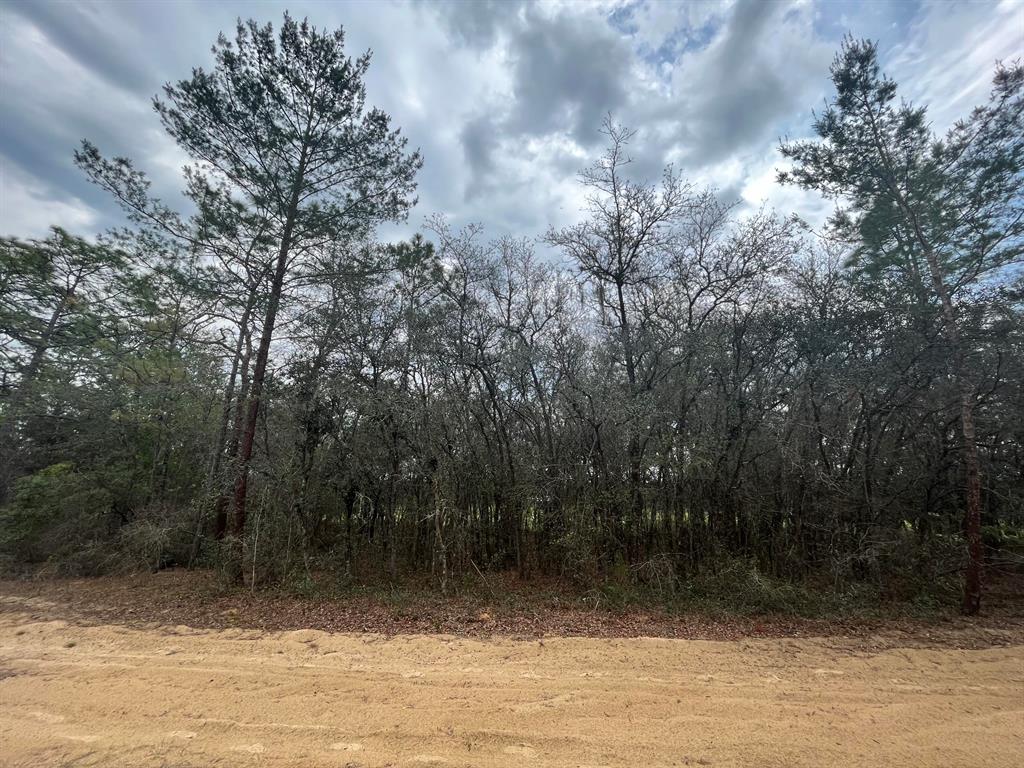 INVERNESS VILLAGE UNIT 3 - Land