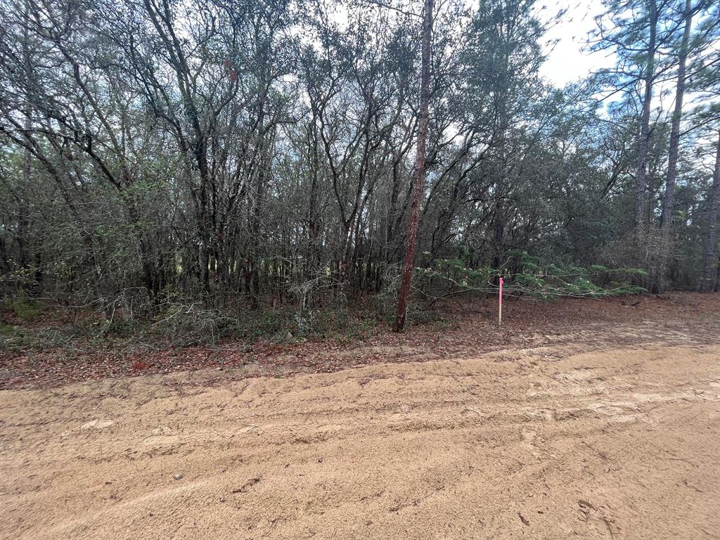 INVERNESS VILLAGE UNIT 3 - Land