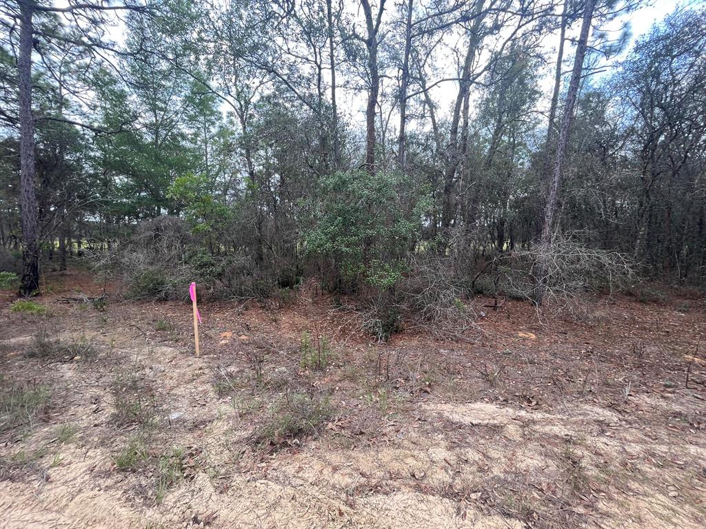 INVERNESS VILLAGE UNIT 3 - Land