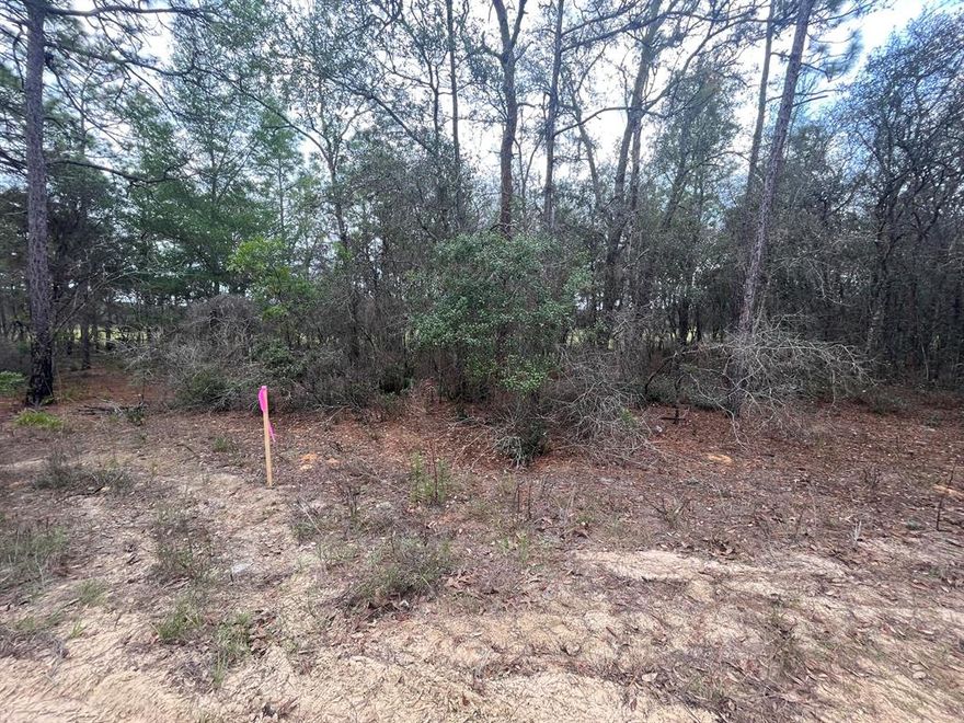 Look no further perfect lot to build your dream home! Beautiful new homes already in the neighborhood just waiting for your family to begin building!!! So Quiet, enjoy nature and privacy at its finest!!! . . This property is conveniently located near shopping, restaurants, medical facilities  Hurry, this lot WILL NOT LAST!!! No HOA, CDD, or Deed Restrictions... Owner financing available