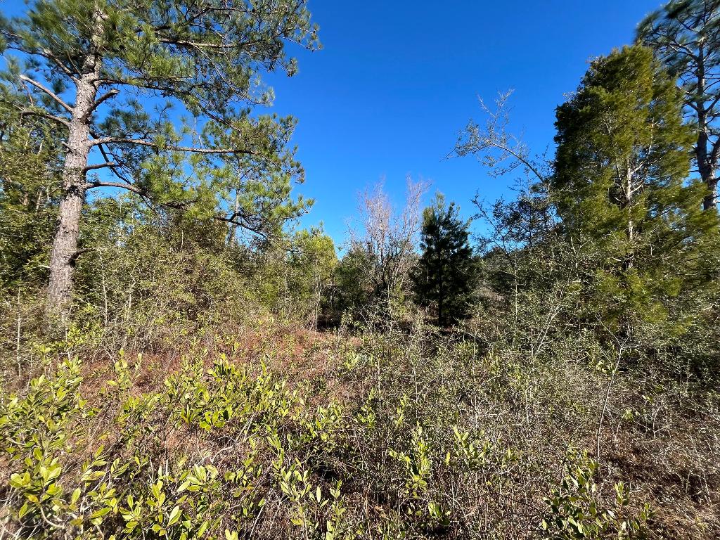 COMPASS LAKE HILLS - Land