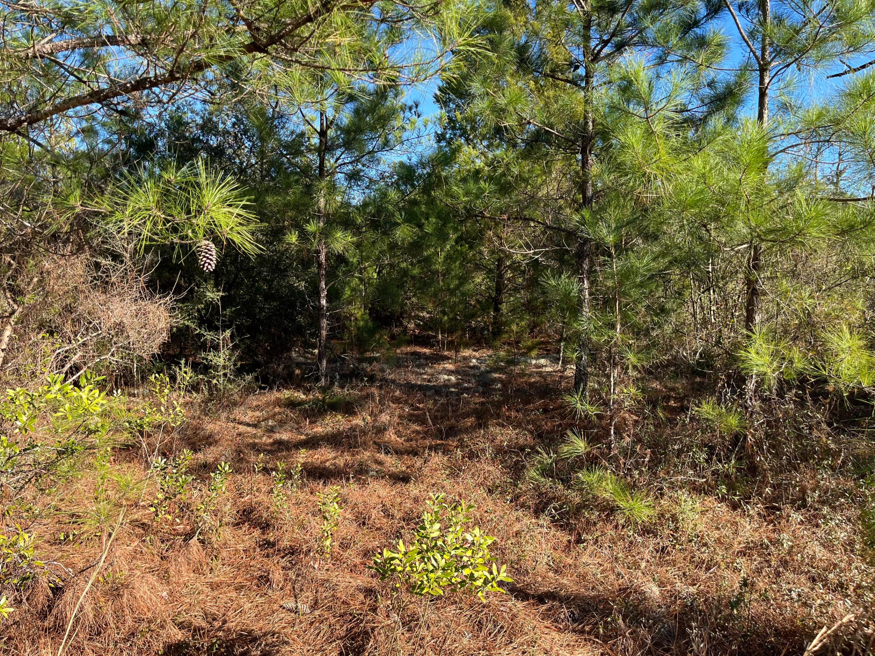 COMPASS LAKE HILLS - Land