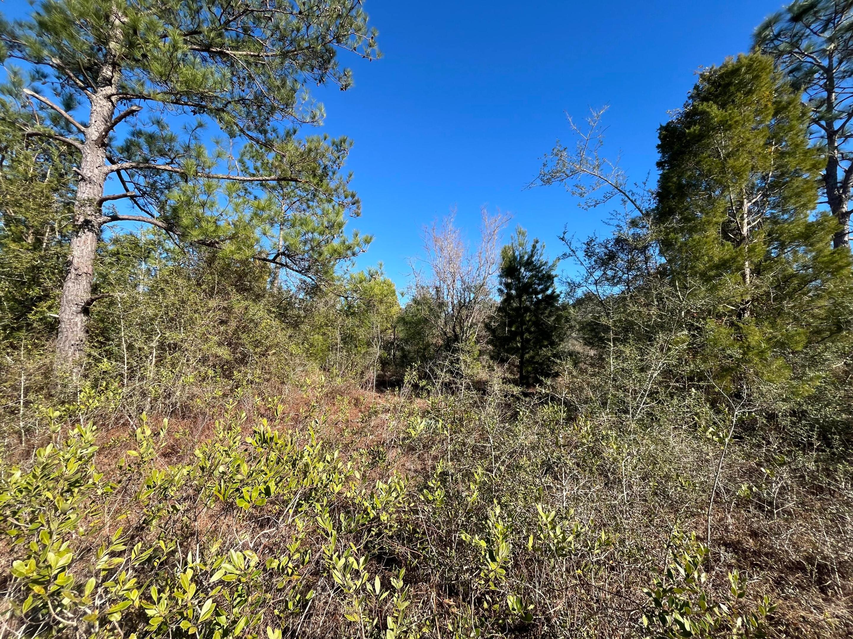 COMPASS LAKE HILLS - Land