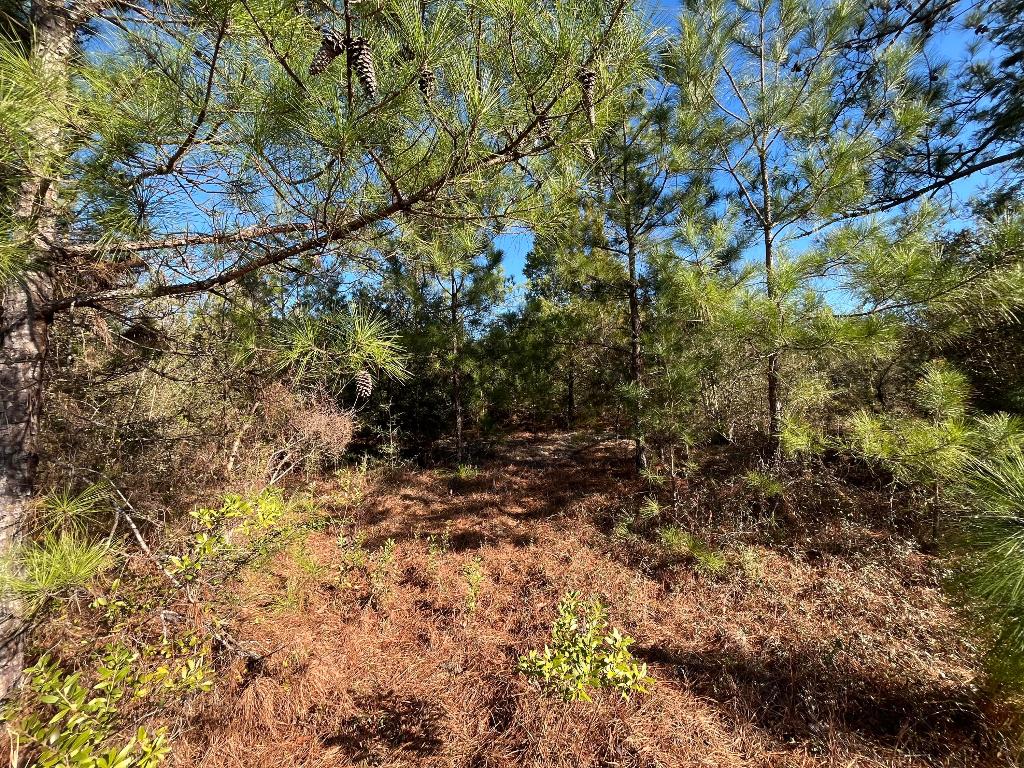 COMPASS LAKE HILLS - Land